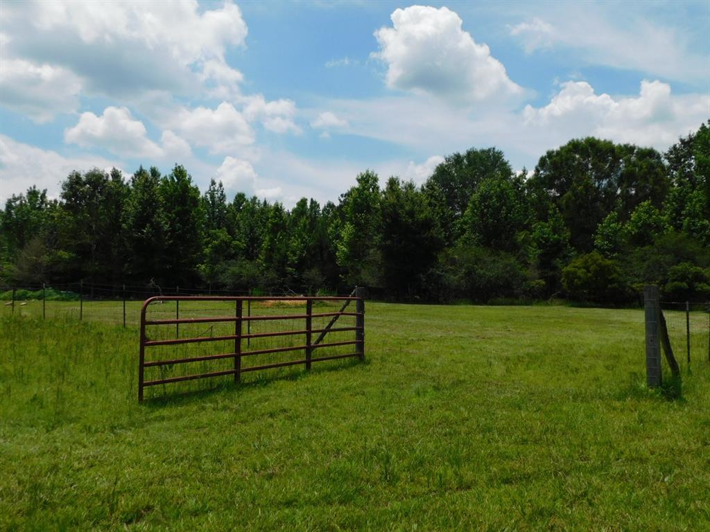 555 Thomasville Road Sarepta, LA 71071 - Photo 29 of 40