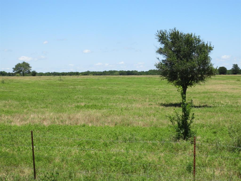 Tbd Church Road McGregor, TX 76657 - Photo 6 of 6