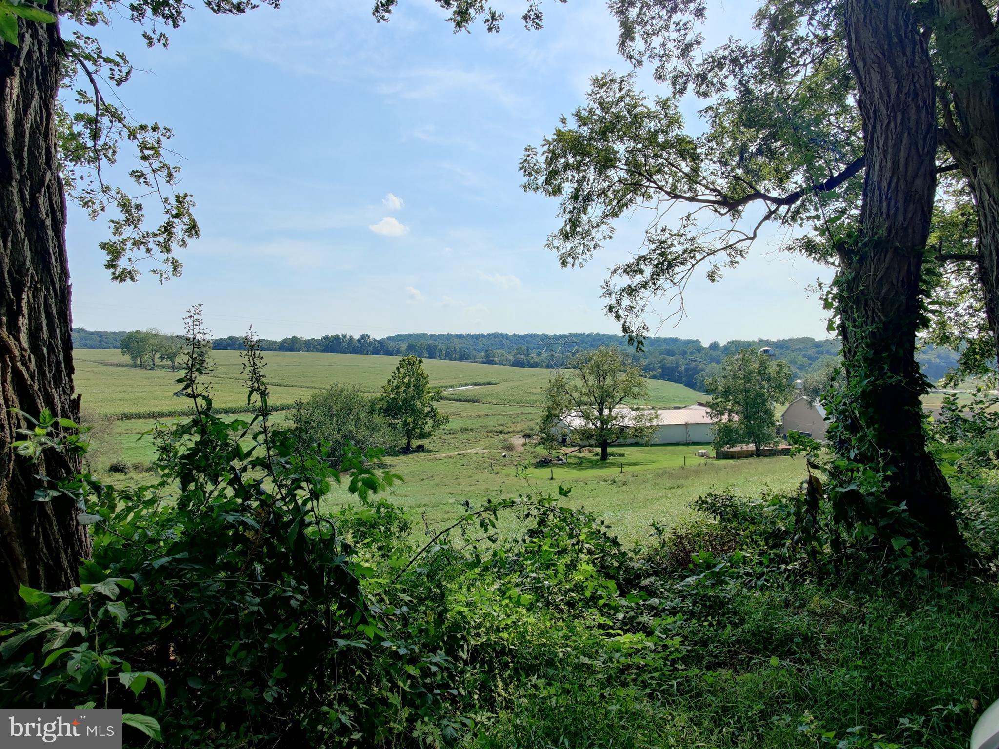 309 Pumping Station Road Kirkwood, PA 17536 - Photo 47 of 91