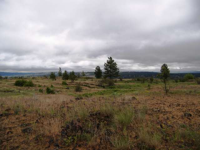 0 North Indian Bluff Road Spokane, WA 99224 - Photo 3 of 9 Gallery Image 3