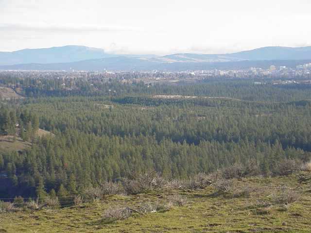0 North Indian Bluff Road Spokane, WA 99224 - Photo 6 of 9 Gallery Image 6