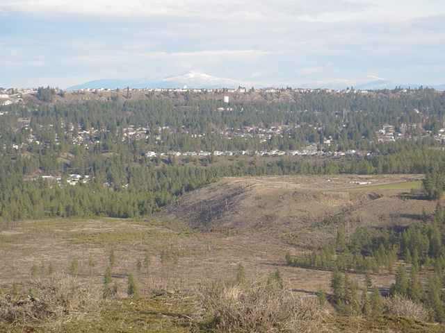 0 North Indian Bluff Road Spokane, WA 99224 - Photo 9 of 9 Gallery Image 9