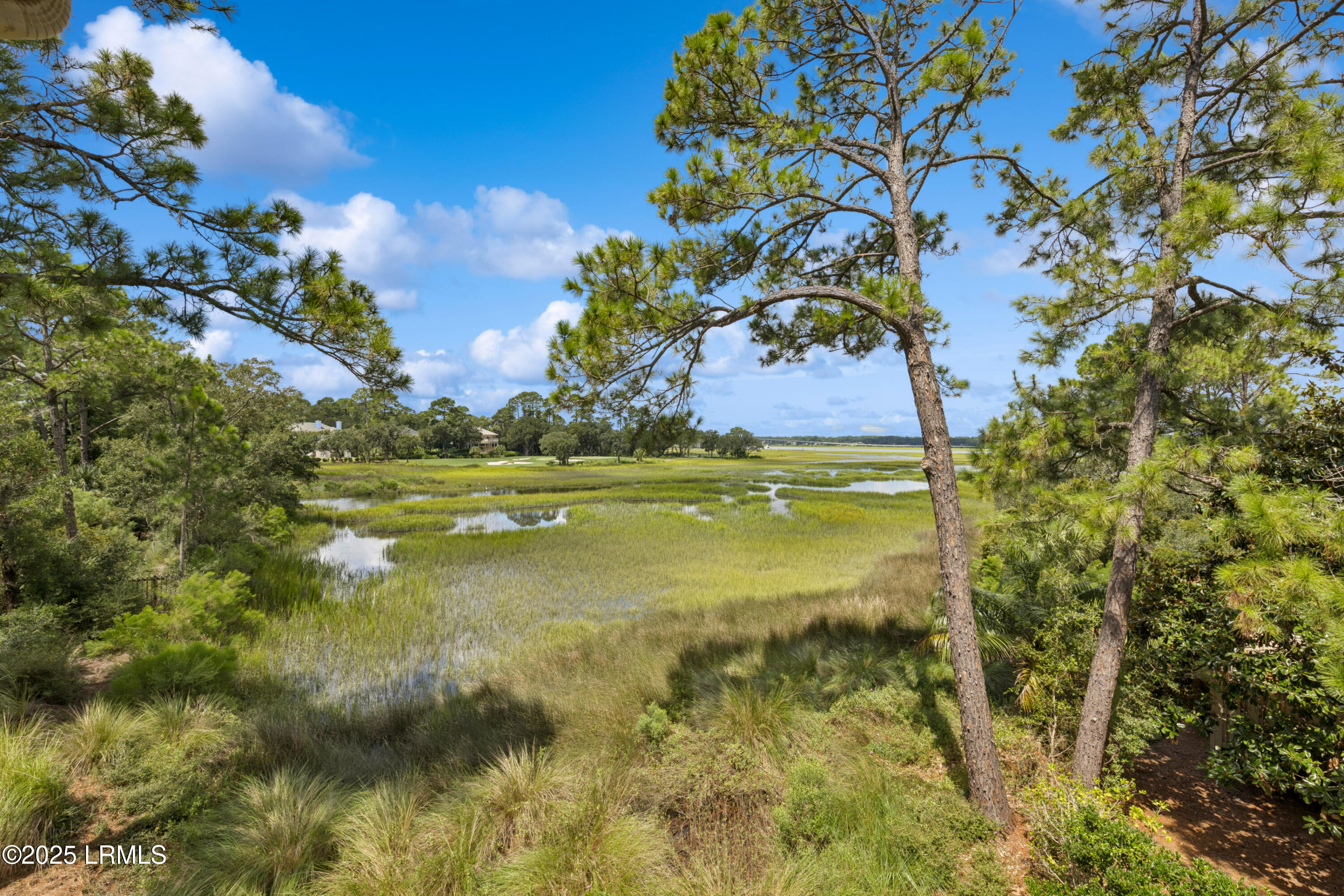 11 Foot Point Road Hilton Head Island, SC 29928 - Photo 33 of 51 32