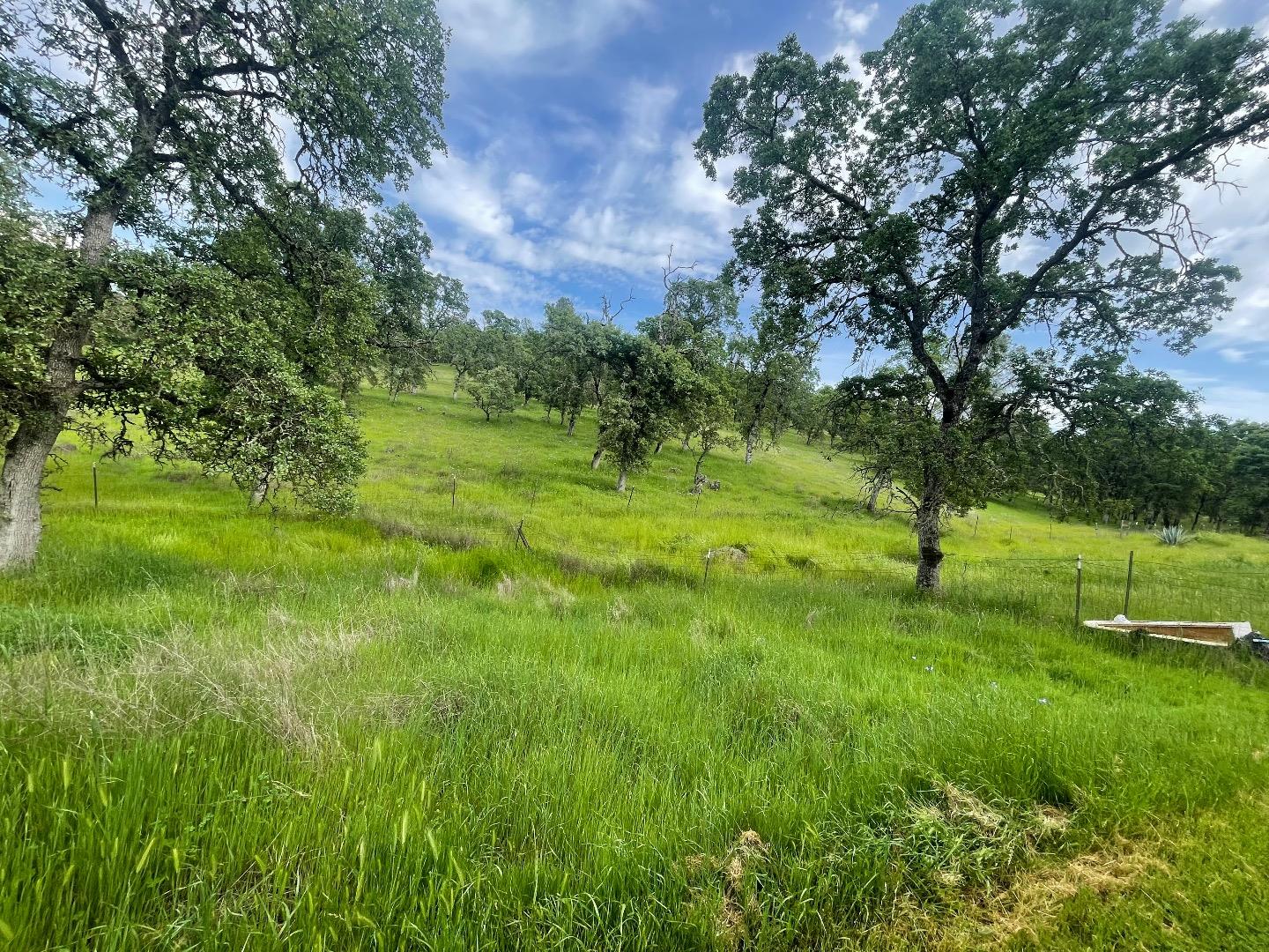 0 Avacado Road Oroville, CA 95966 - Photo 14 of 19 a view of yard with green space