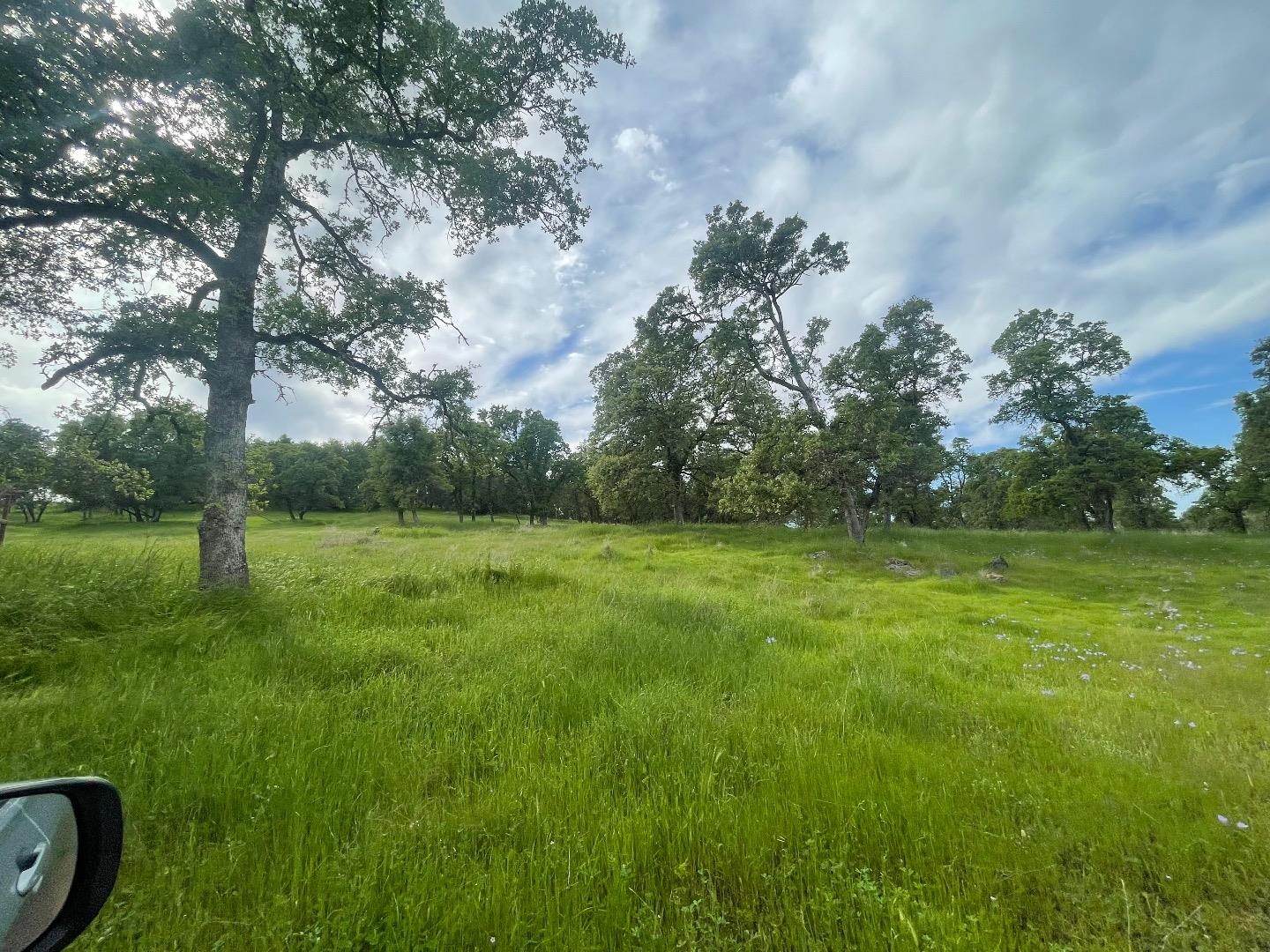 0 Avacado Road Oroville, CA 95966 - Photo 15 of 19 a view of yard with green space