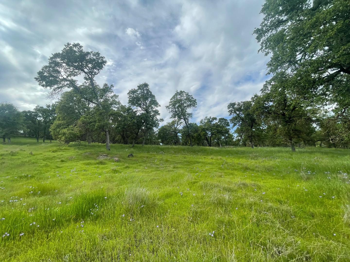 0 Avacado Road Oroville, CA 95966 - Photo 16 of 19 a view of outdoor space with deck and yard