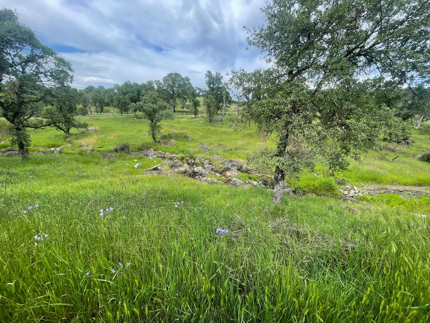 0 Avacado Road Oroville, CA 95966 - Photo 18 of 19 a view of a lush green space