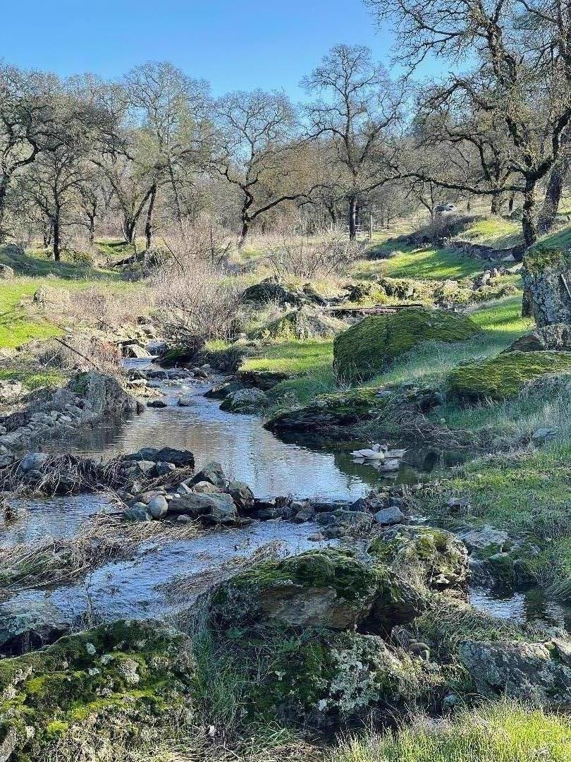 0 Avacado Road Oroville, CA 95966 - Photo 2 of 19 a view of a field with a tree
