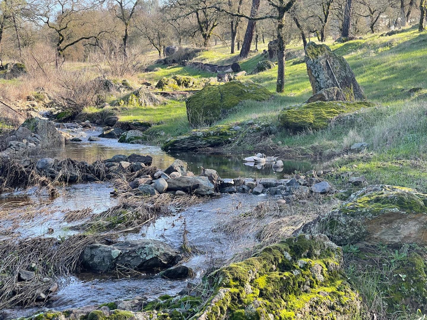 0 Avacado Road Oroville, CA 95966 - Photo 4 of 19 a backyard of a house with lots of green space