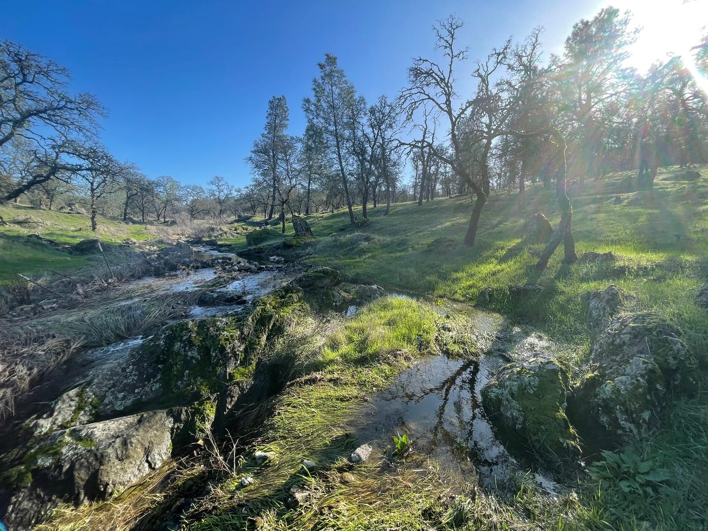 0 Avacado Road Oroville, CA 95966 - Photo 5 of 19 a view of a garden with a lake