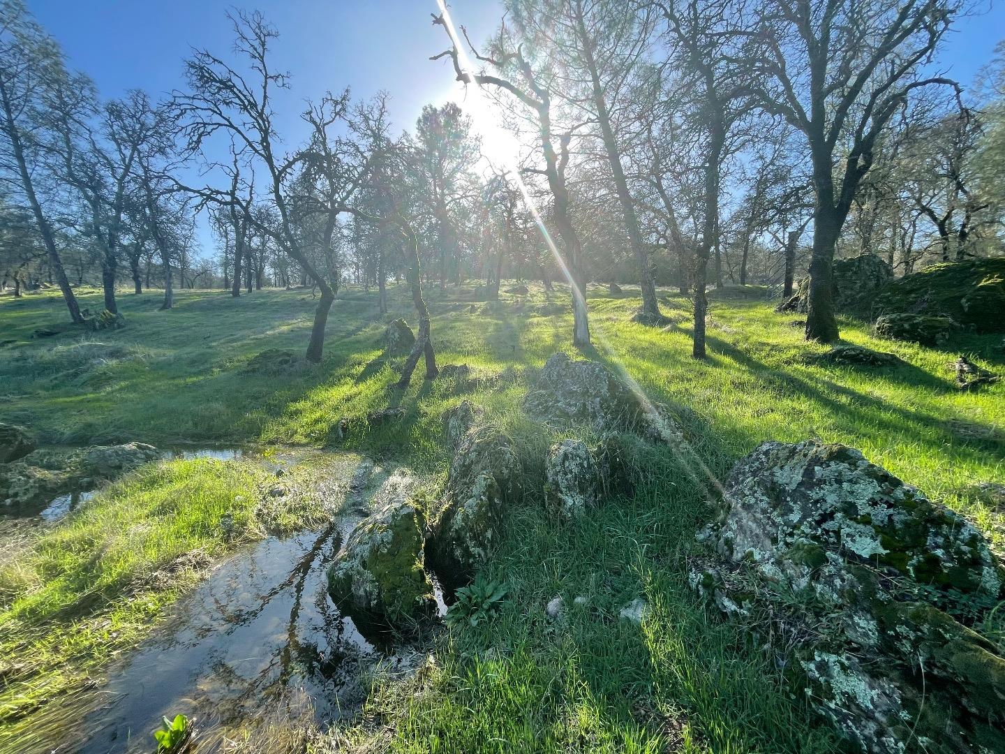 0 Avacado Road Oroville, CA 95966 - Photo 6 of 19 a view of a park