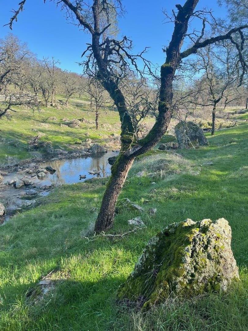 0 Avacado Road Oroville, CA 95966 - Photo 8 of 19 a backyard of a house with lots of green space