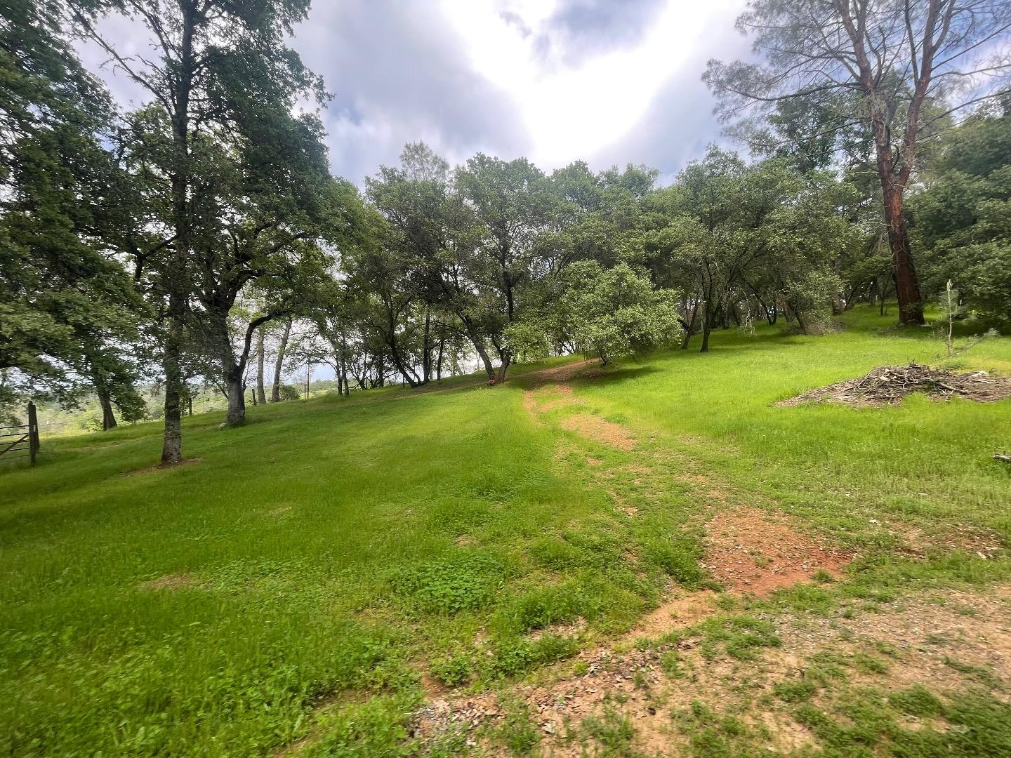 0 Avacado Road Oroville, CA 95966 - Photo 10 of 19 a view of yard with trees