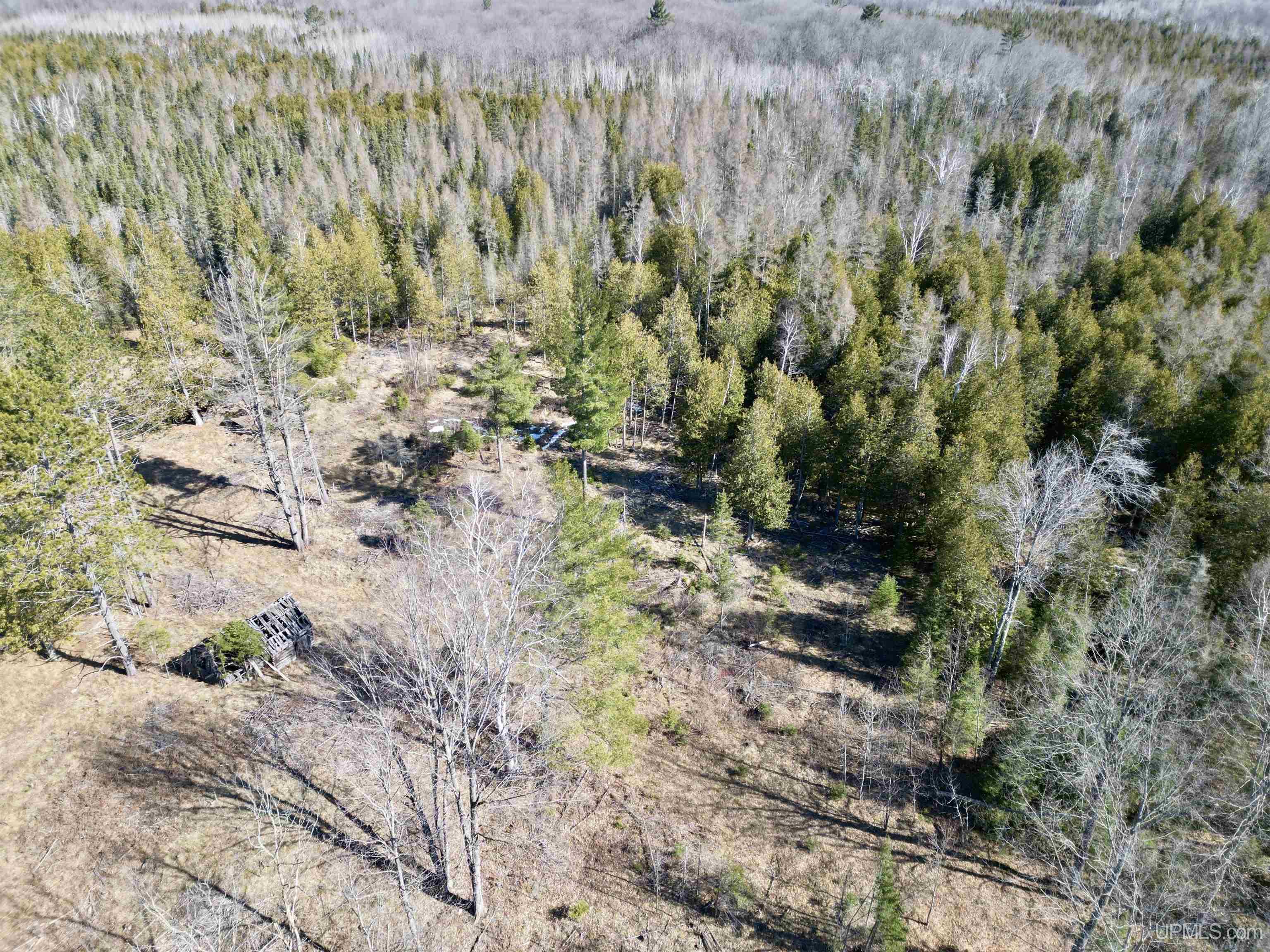 3205 Cr Su Road Arnold, MI 49819 - Photo 4 of 22 Gallery Image 4