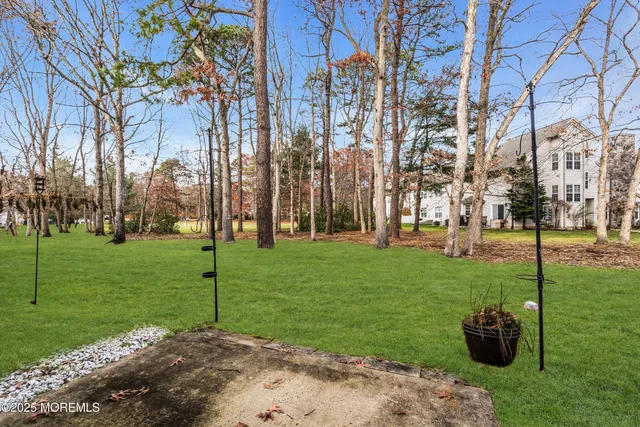 a view of a backyard with trees