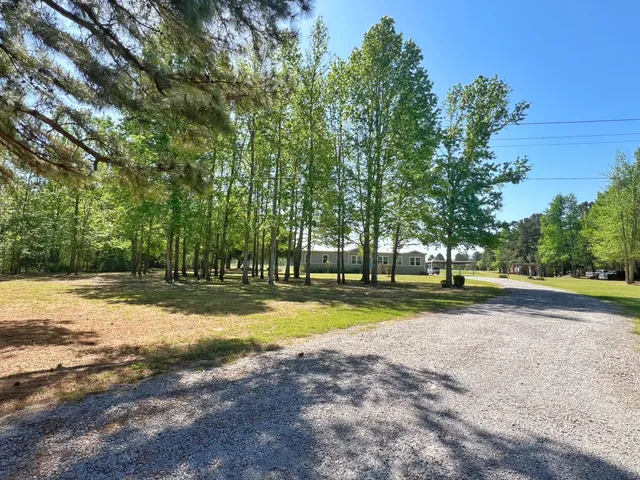 a view of a yard with of trees