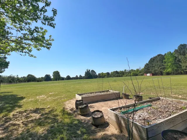a view of a trees with a yard