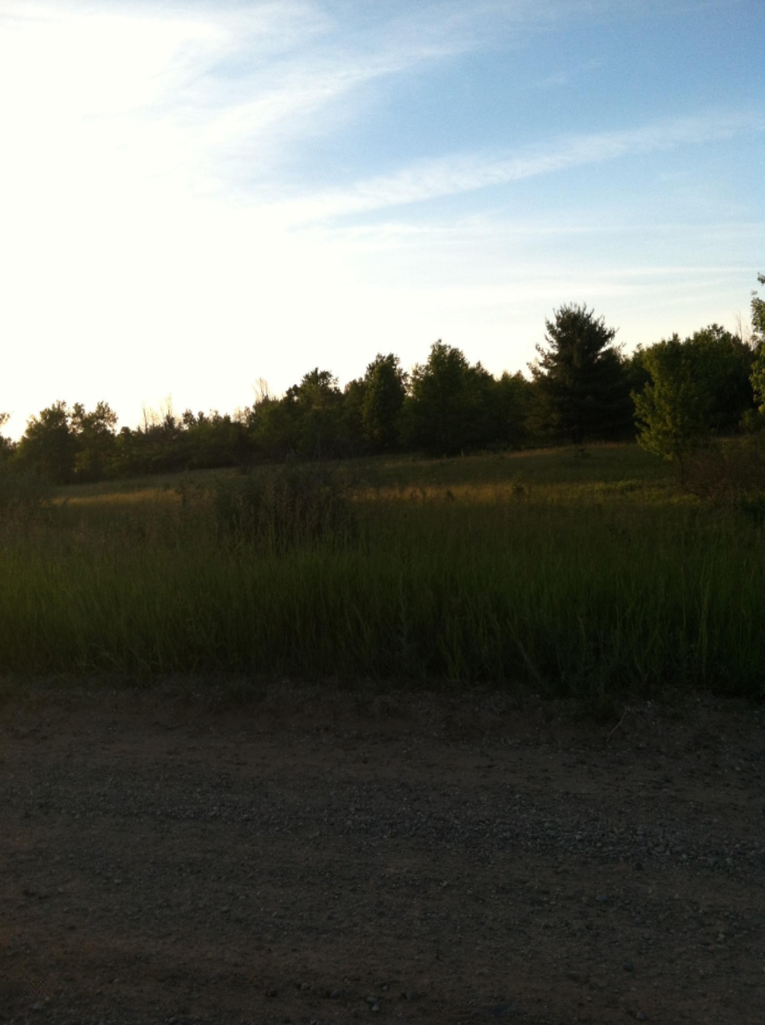 18400 South County Line Road Sand Lake, MI 49343 - Photo 3 of 5 countyline Rd.
