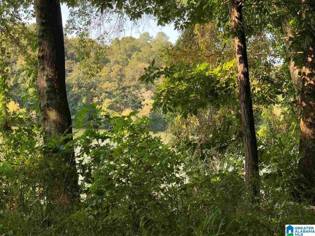 0 Brooks Road Ragland, AL 35131 - Photo 21 of 49
