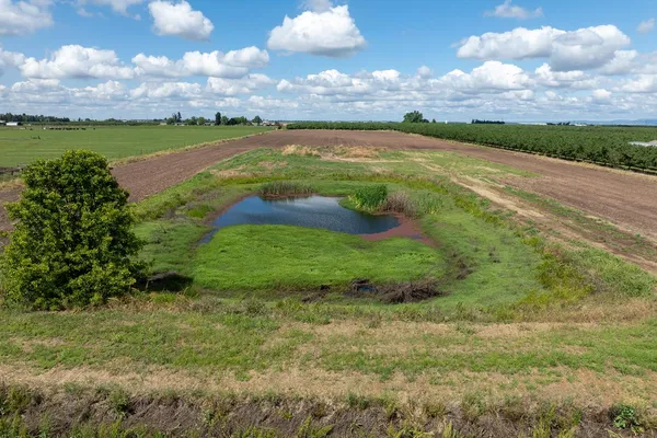 $495,000 | 26149 Edwards Avenue, Escalon, CA 95320