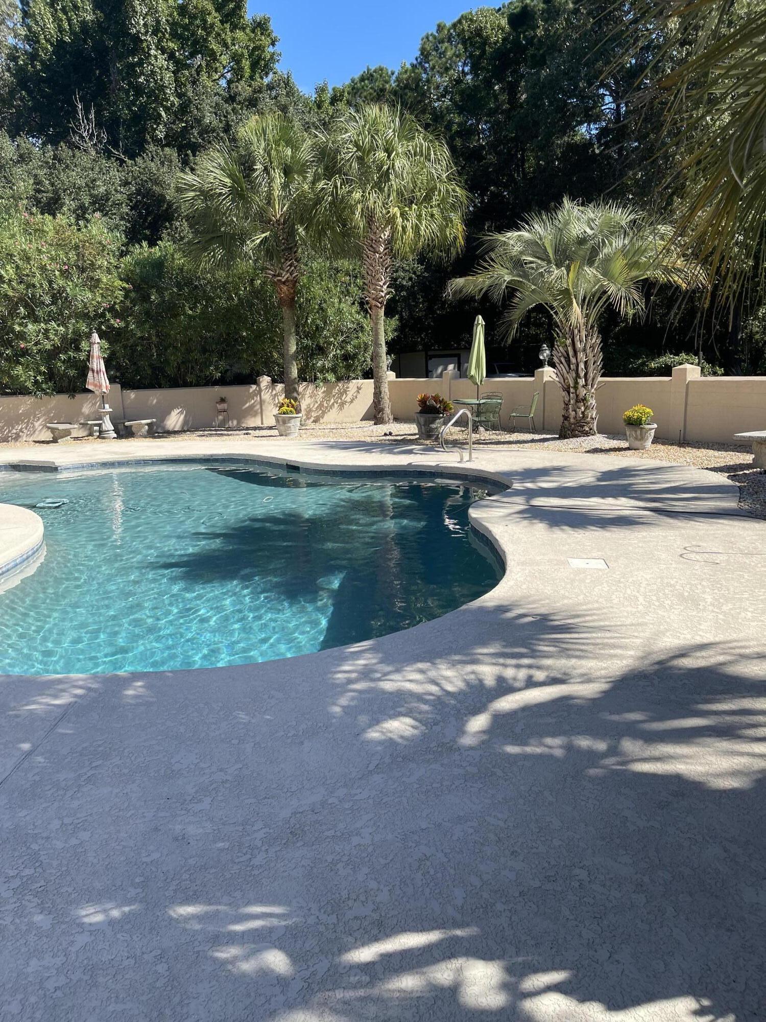 6036 Postell Drive Ravenel, SC 29470 - Photo 27 of 49 Saltwater Pool