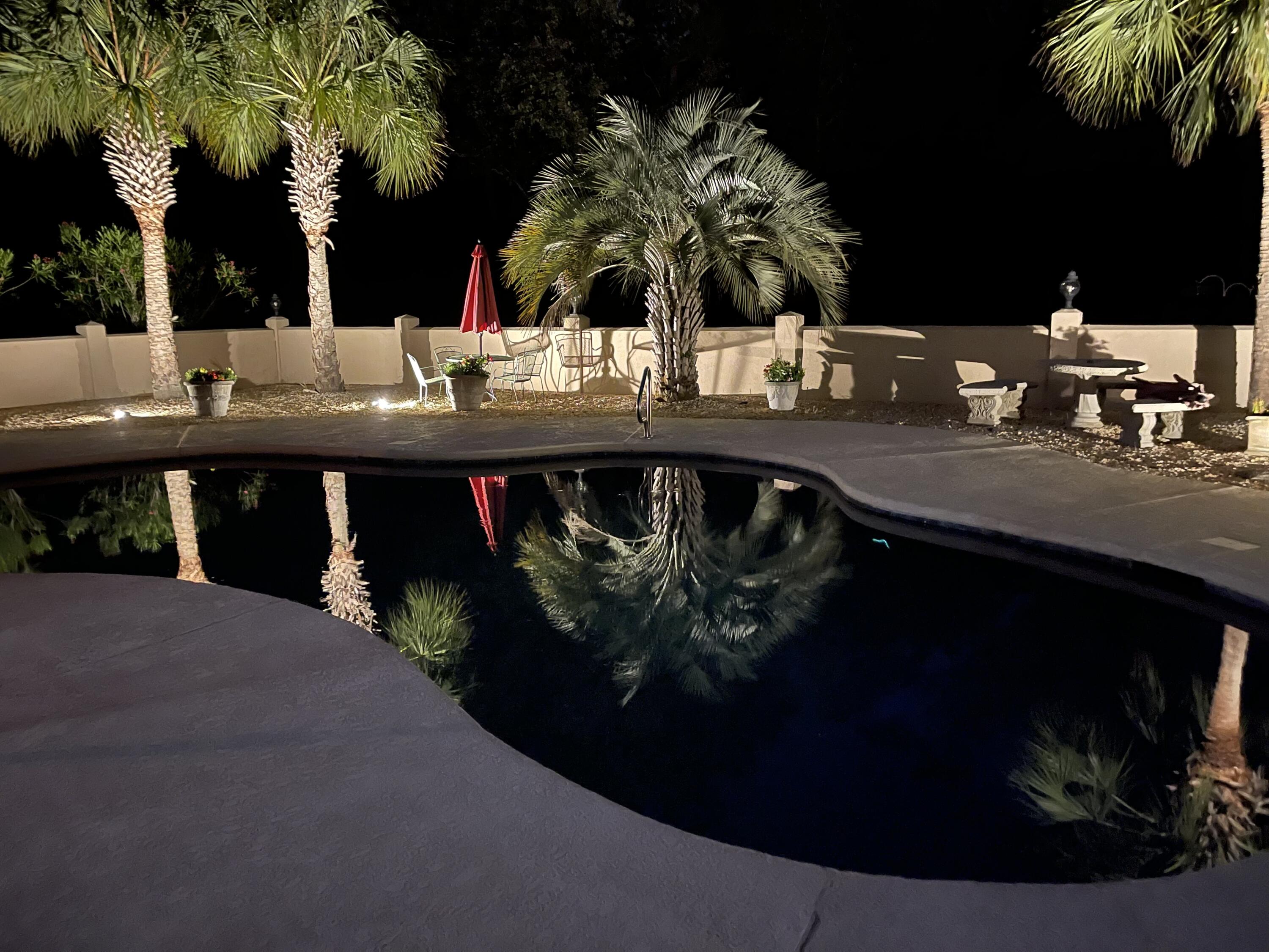 6036 Postell Drive Ravenel, SC 29470 - Photo 29 of 49 Your Evening Oasis