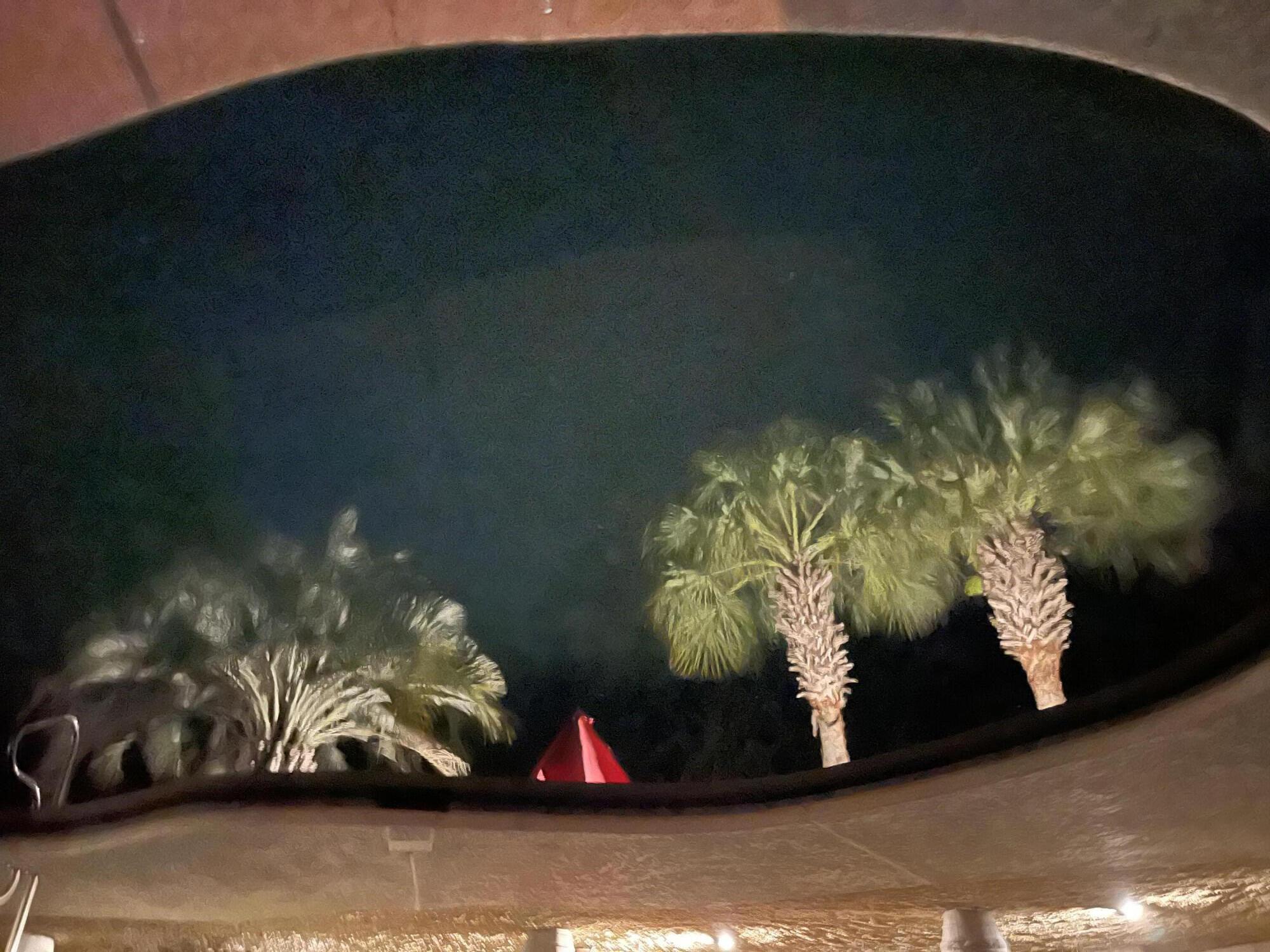 6036 Postell Drive Ravenel, SC 29470 - Photo 30 of 49 Palmetto Tree Reflection