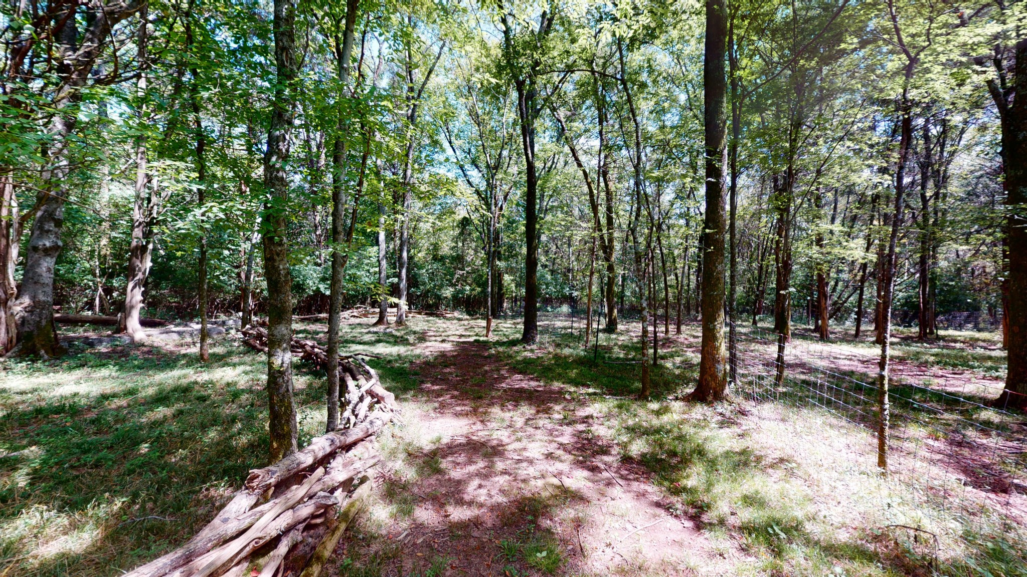 207 Bethlehem Road Lebanon, TN 37087 - Photo 30 of 35 a view of a park with large trees