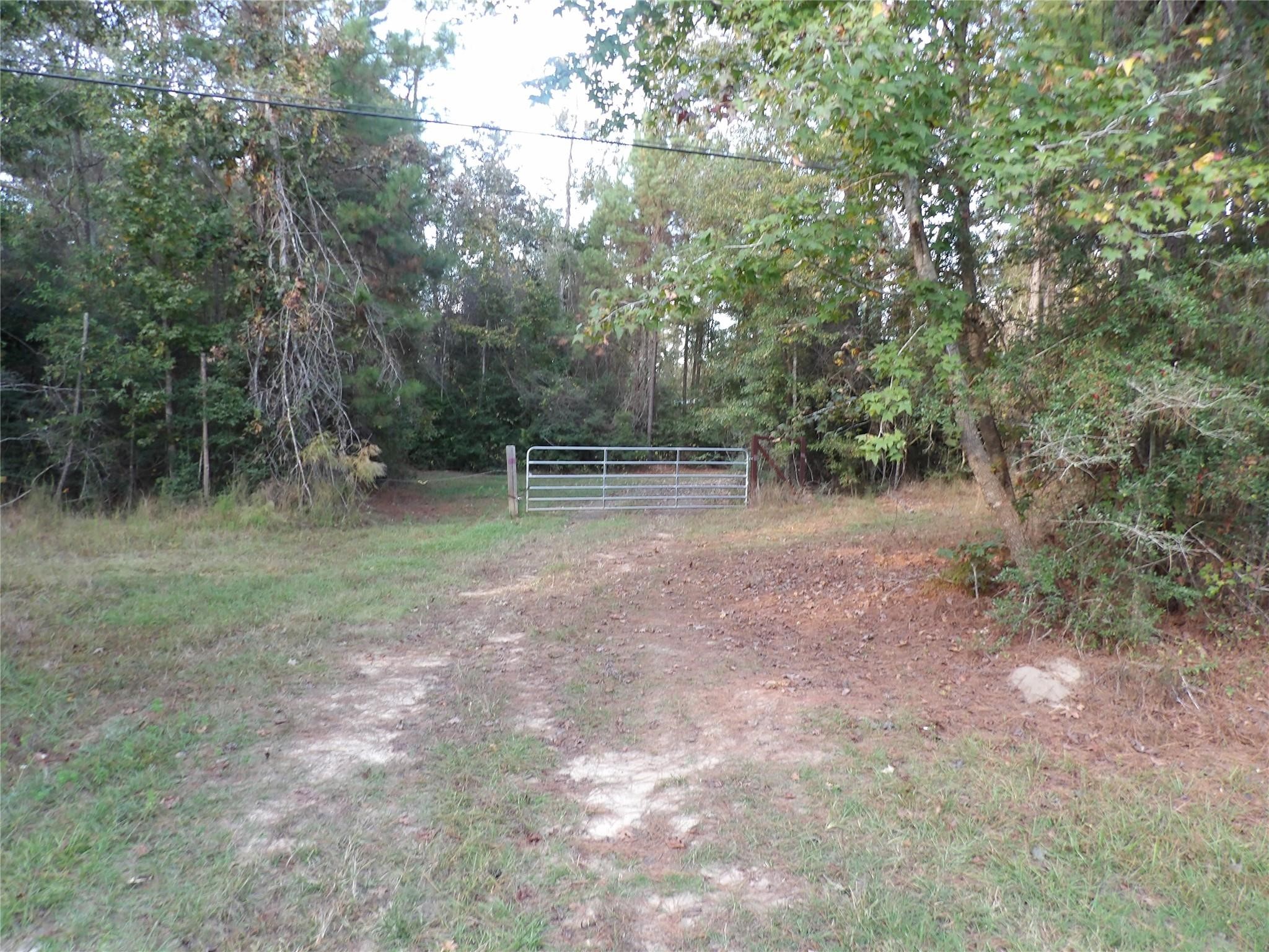 0 Fm 1013 Spurger, TX 77660 - Photo 15 of 15 a view of a forest with trees in the background