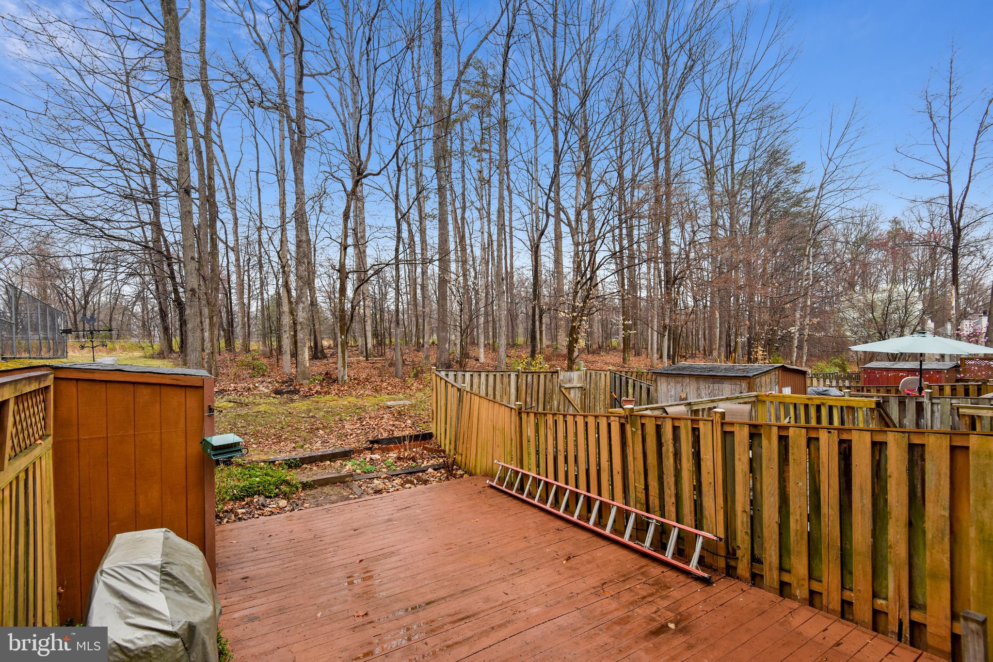 6282 Rathlin Drive Springfield, VA 22152 - Photo 15 of 37 Main Level Deck overlooking trees
