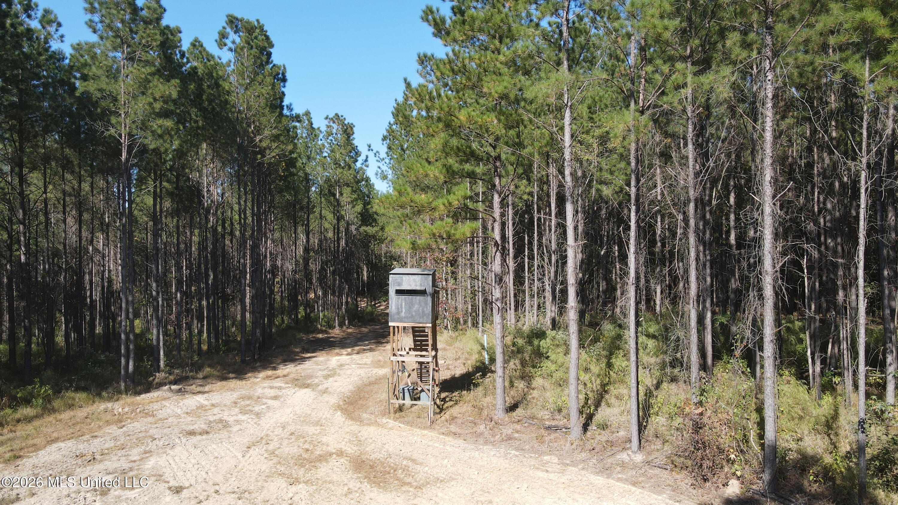 Loyd Irby Road Pelahatchie, MS 39145 - Photo 20 of 30 DJI_0216