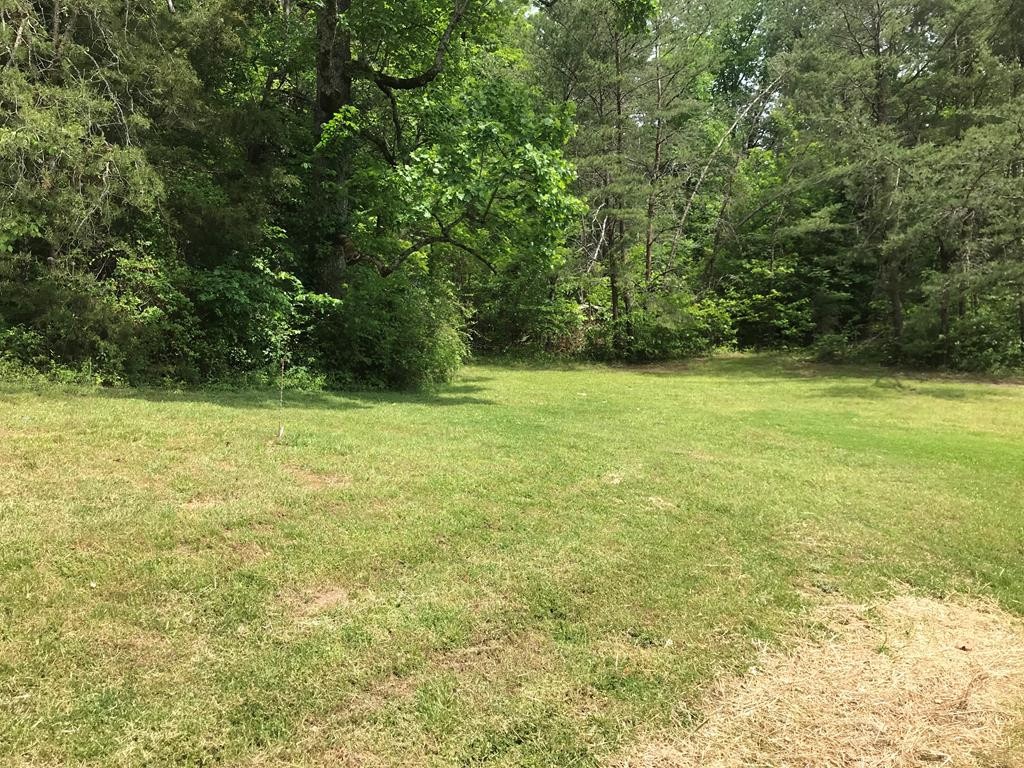6 Mary Ridge Farm Road Sevierville, TN 37862 - Photo 10 of 10