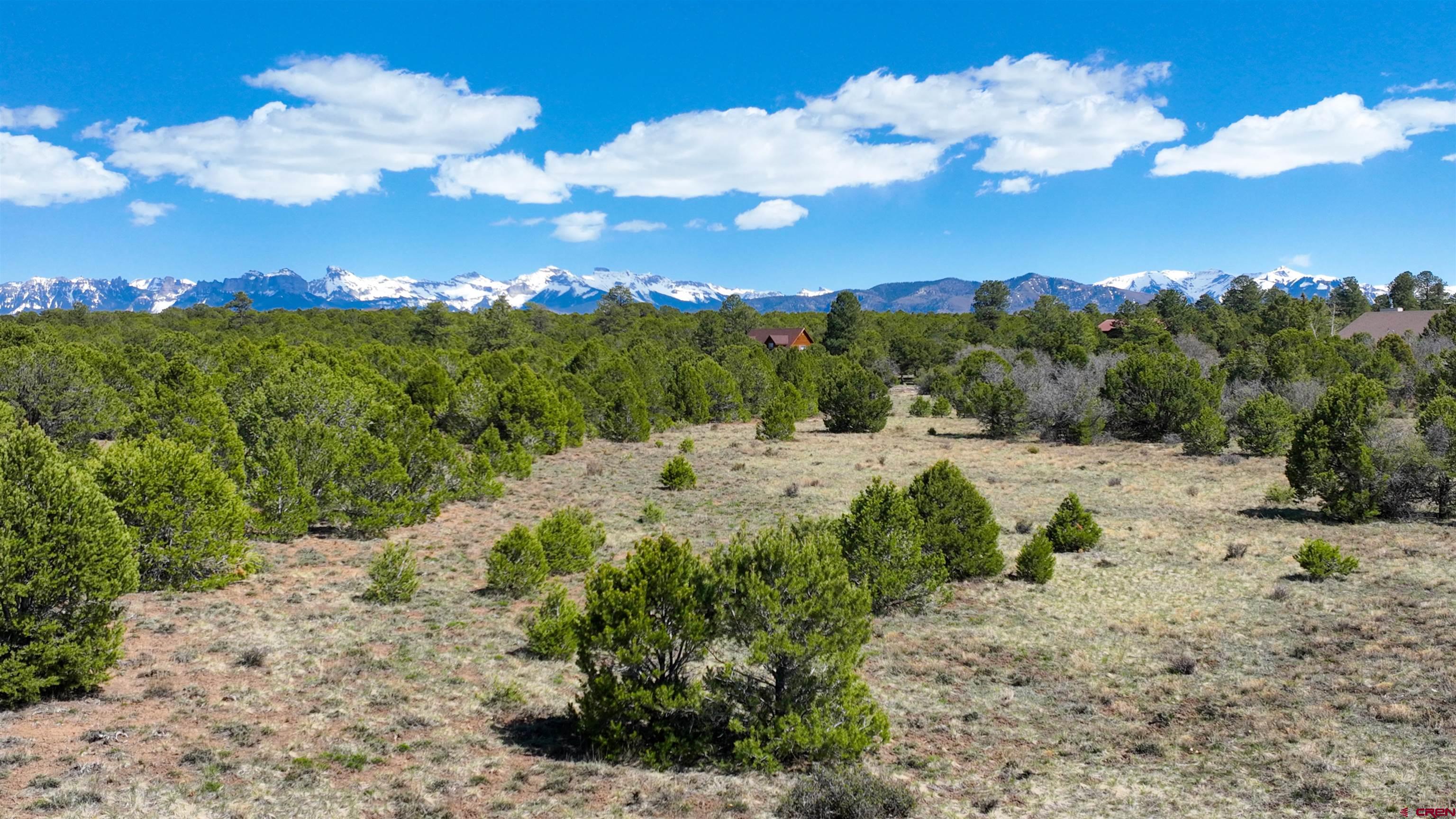 Tbd Canyon Drive Ridgway, CO 81432 - Photo 13 of 26 a view of a bunch of trees and houses