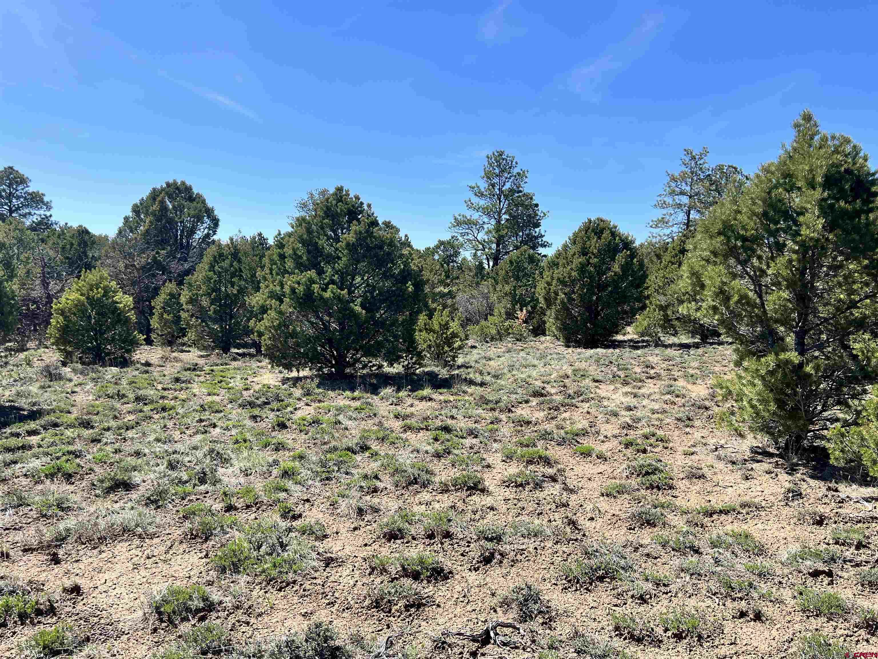 Tbd Canyon Drive Ridgway, CO 81432 - Photo 18 of 26 a view of a yard