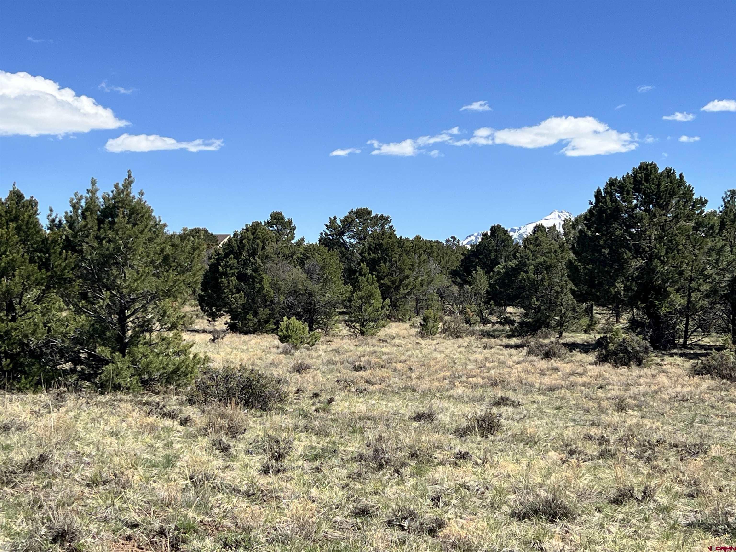 Tbd Canyon Drive Ridgway, CO 81432 - Photo 19 of 26 a view of a dry yard with trees
