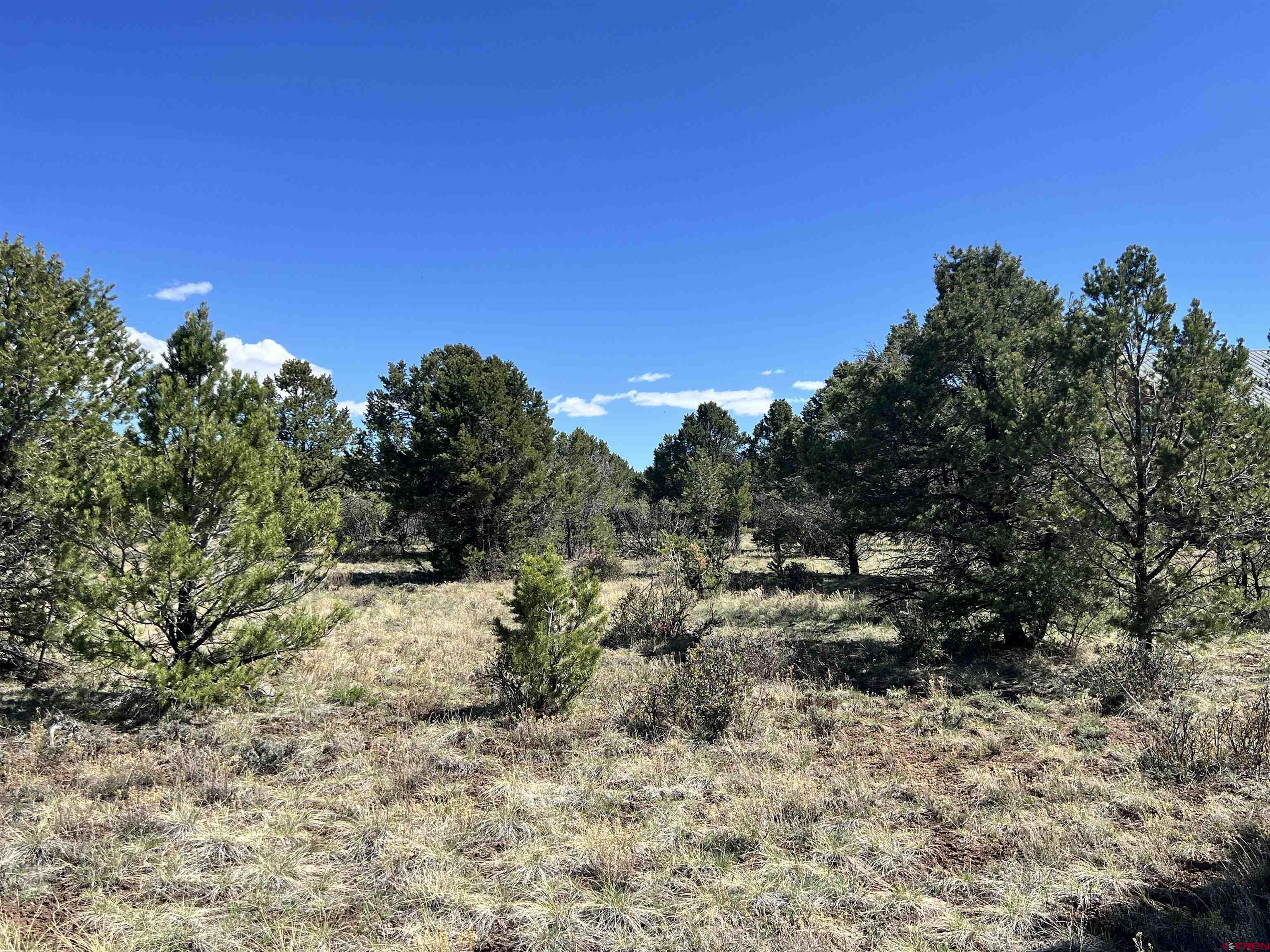 Tbd Canyon Drive Ridgway, CO 81432 - Photo 21 of 26 a view of a yard with a tree in the background