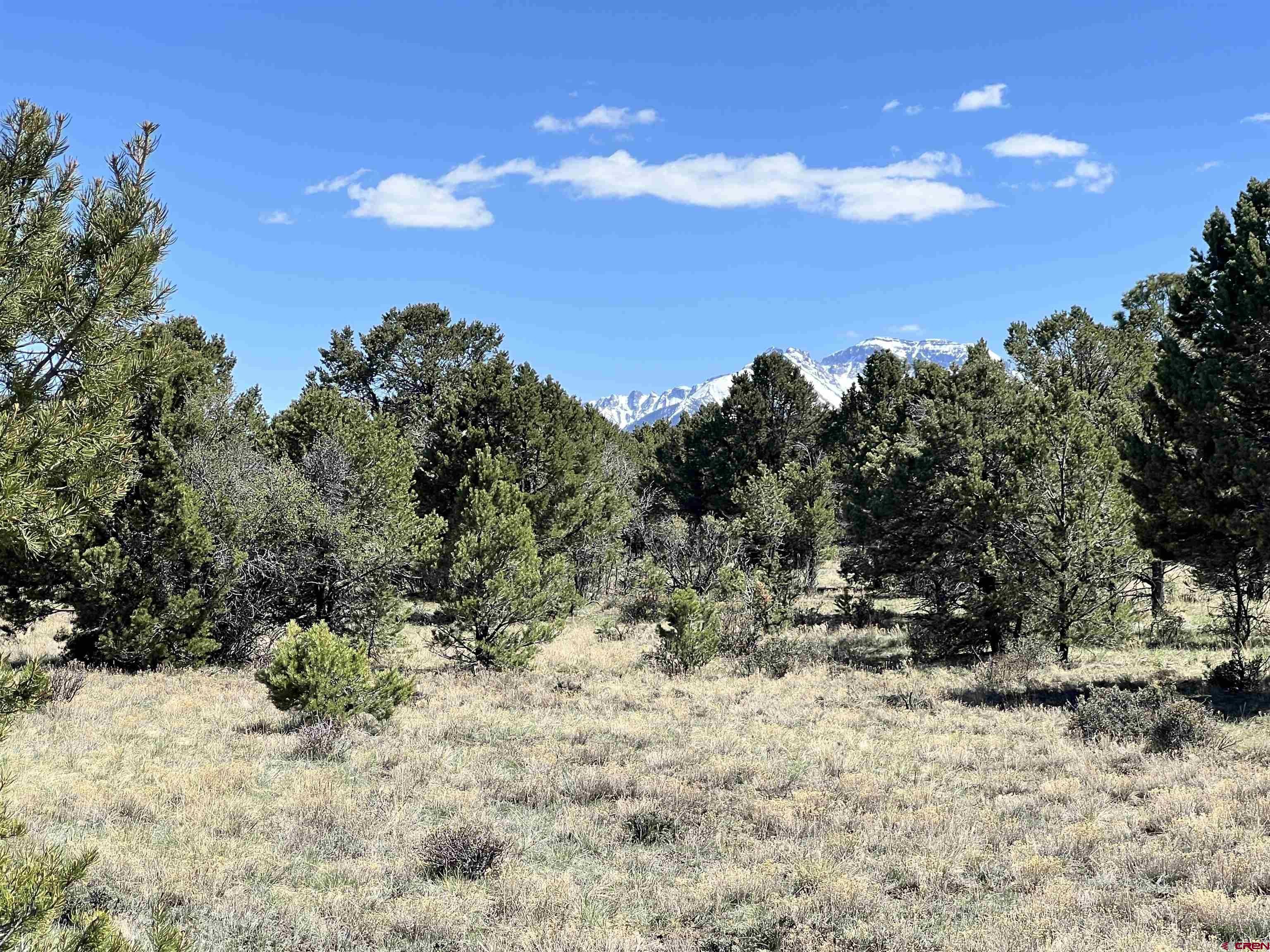 Tbd Canyon Drive Ridgway, CO 81432 - Photo 23 of 26 a view of a yard with a tree