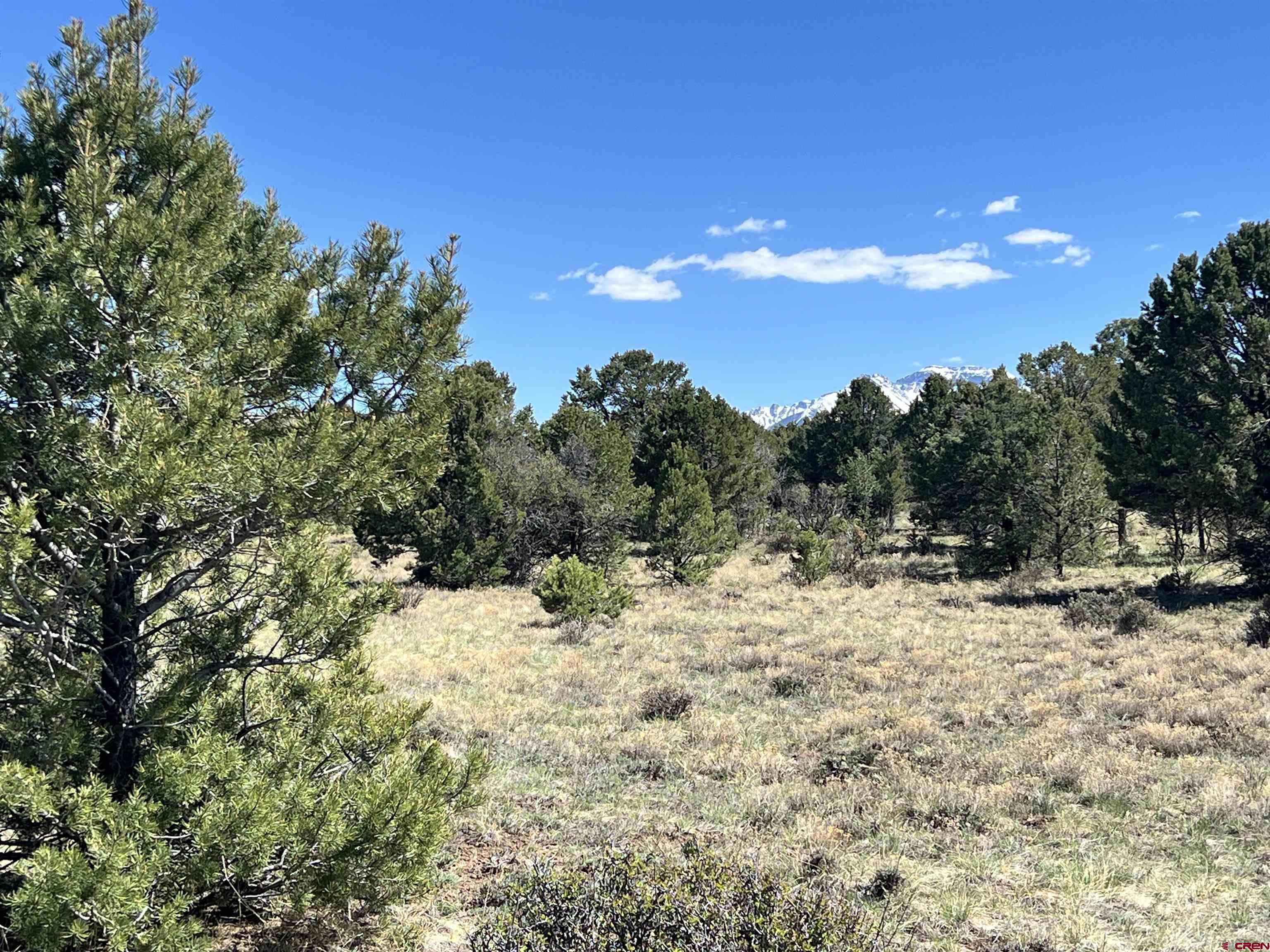 Tbd Canyon Drive Ridgway, CO 81432 - Photo 24 of 26 a view of a yard with a tree