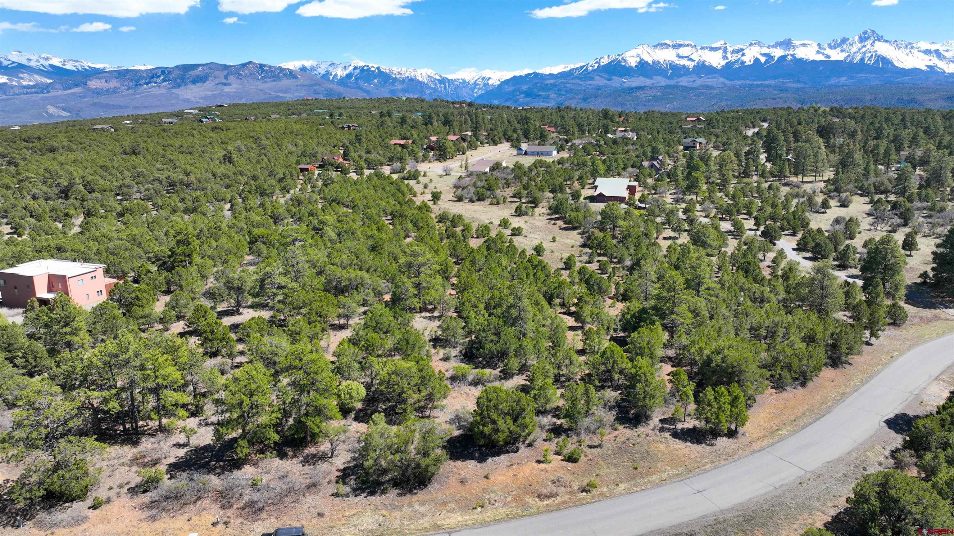 Tbd Canyon Drive Ridgway, CO 81432 - Photo 5 of 26 a view of a yard with a tree