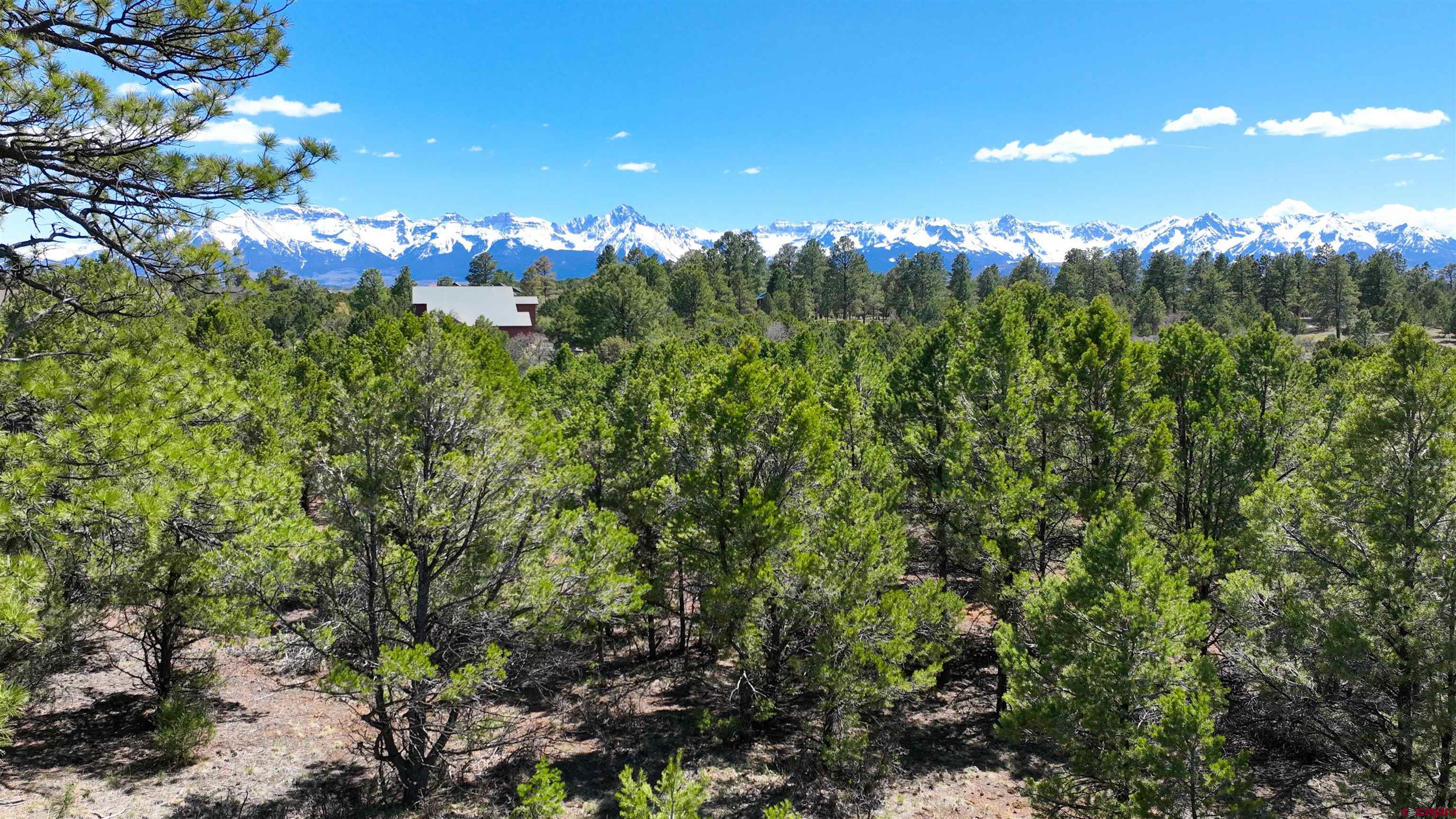 Tbd Canyon Drive Ridgway, CO 81432 - Photo 6 of 26 a view of a bunch of trees