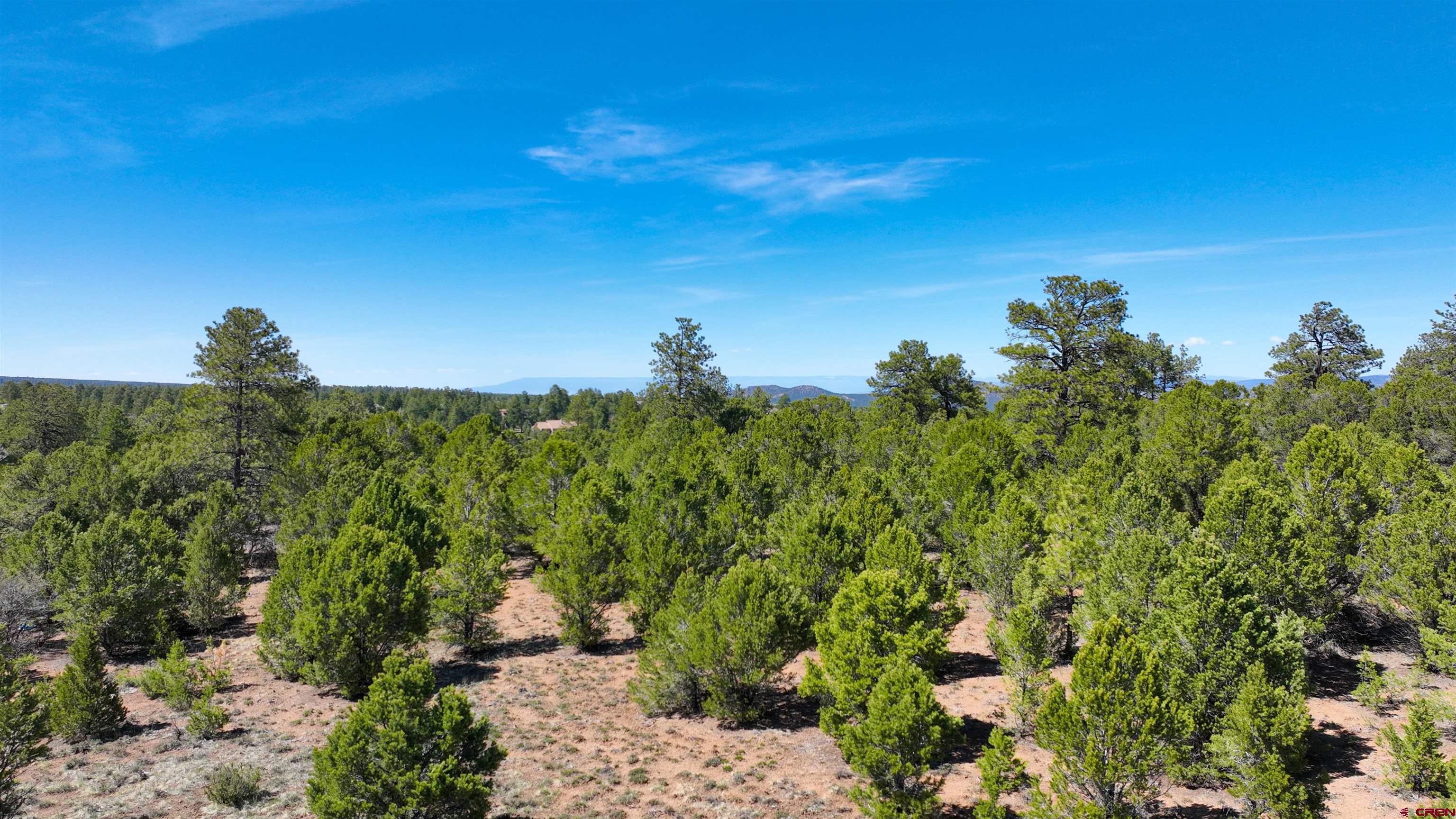 Tbd Canyon Drive Ridgway, CO 81432 - Photo 8 of 26 a view of a garden