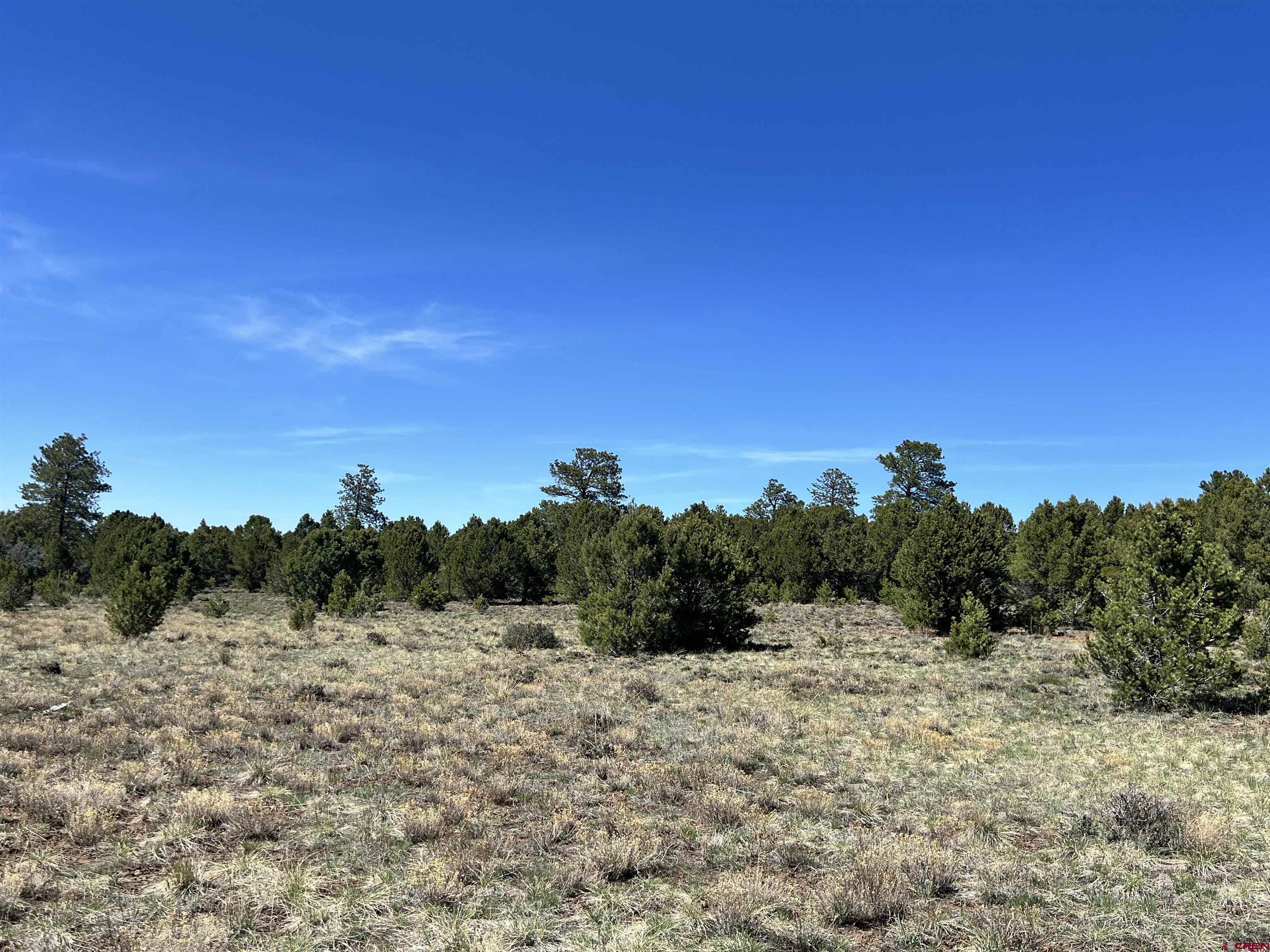 Tbd Canyon Drive Ridgway, CO 81432 - Photo 9 of 26 a view of a dry yard with trees in the background