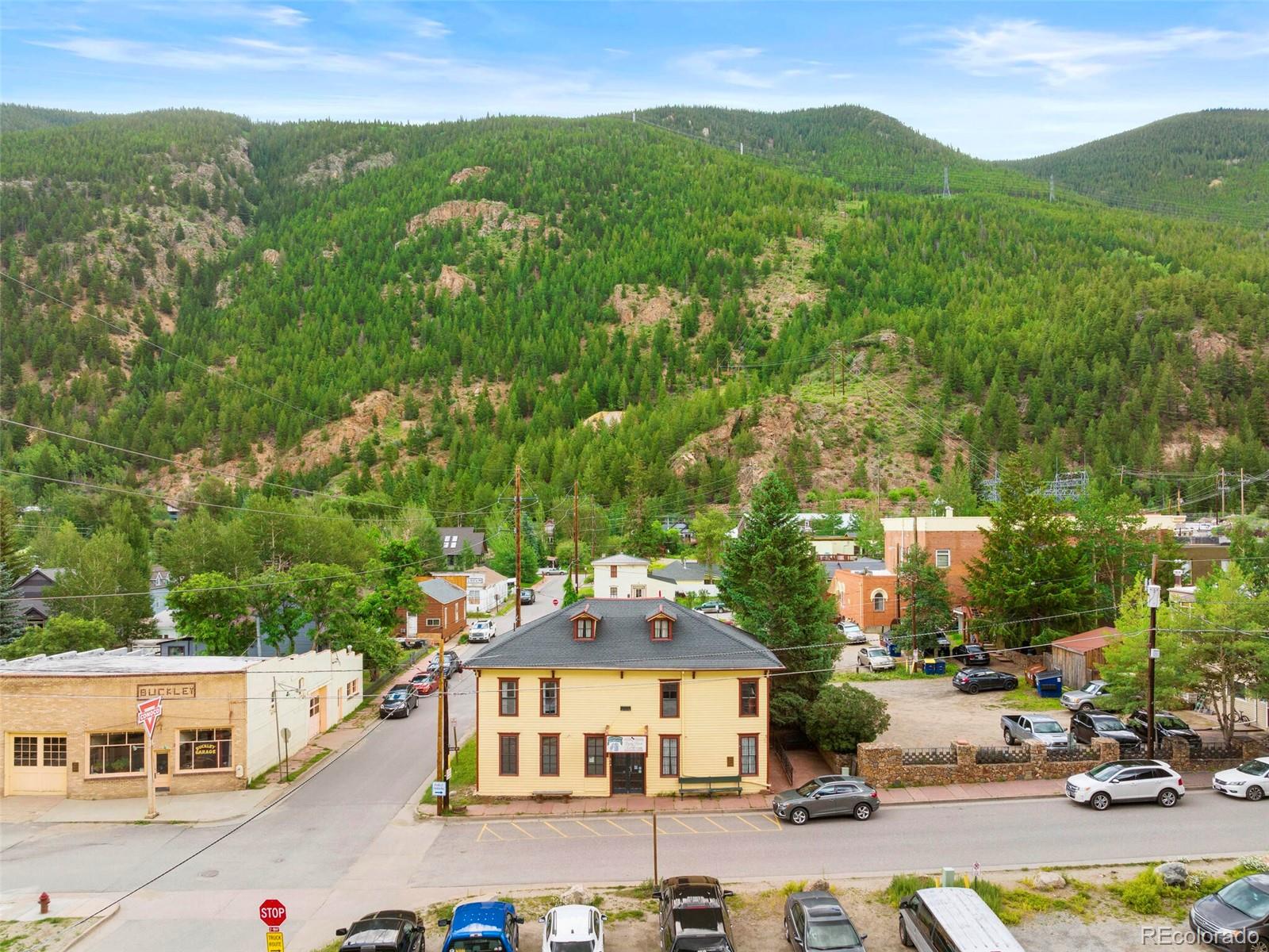 614 Rose Street Georgetown, CO 80444 - Photo 5 of 40 a front view of a house with a garden
