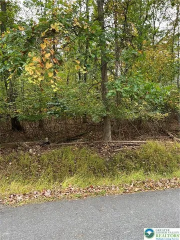a view of a yard with plants