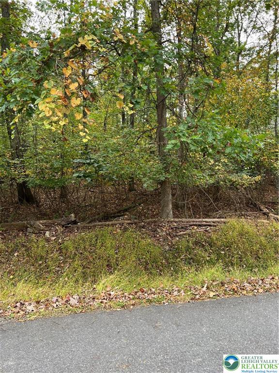 a view of a yard with plants
