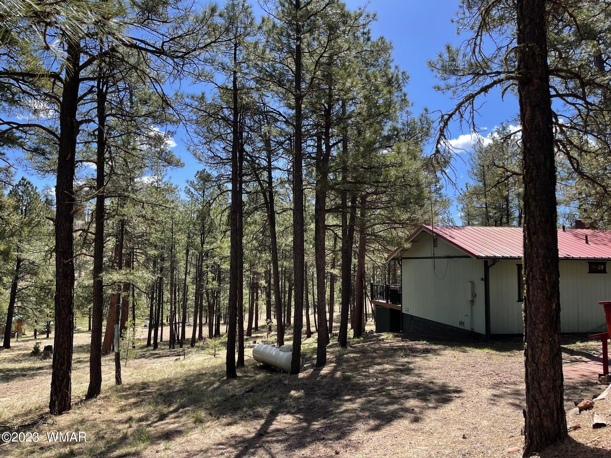 10 County Rd N2148 Alpine, AZ 85920 - Photo 26 of 32