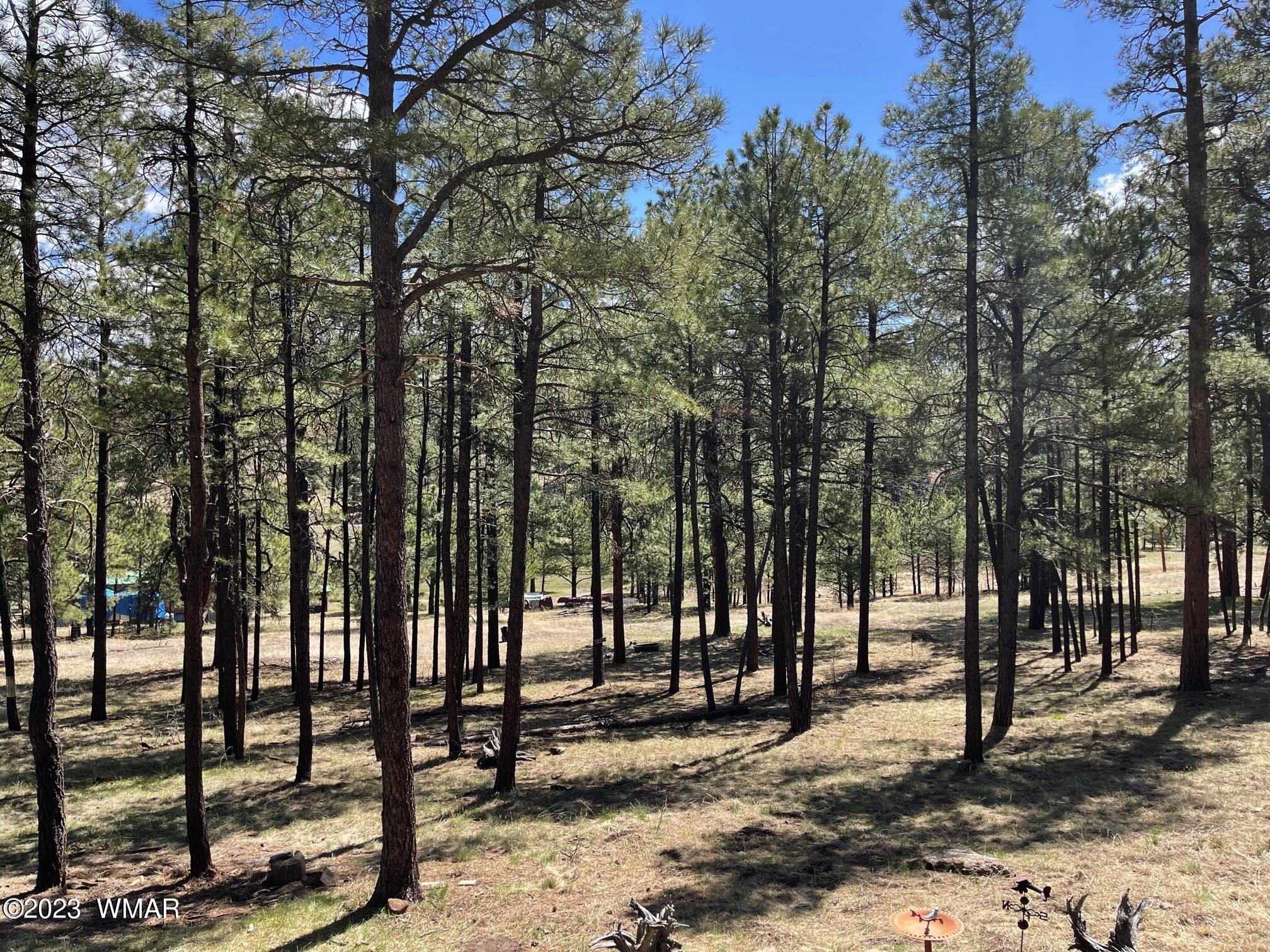 10 County Rd N2148 Alpine, AZ 85920 - Photo 27 of 32