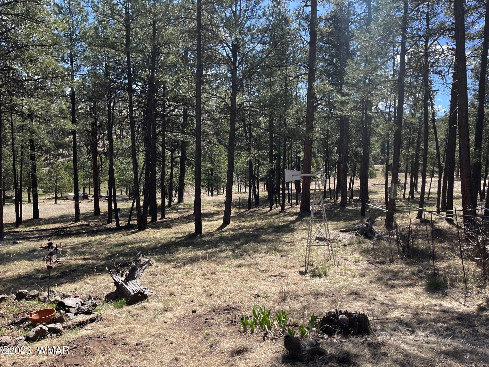 10 County Rd N2148 Alpine, AZ 85920 - Photo 28 of 32