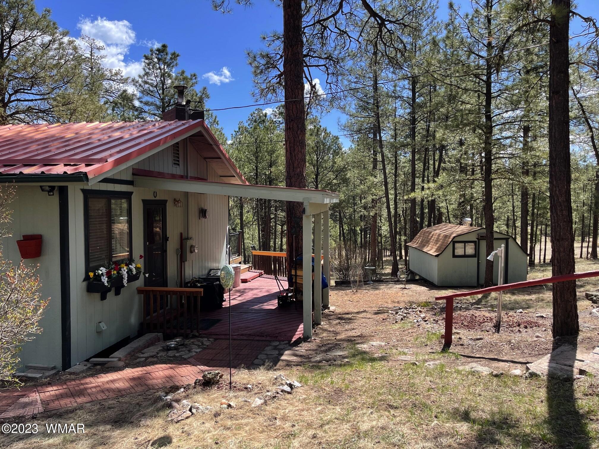 10 County Rd N2148 Alpine, AZ 85920 - Photo 3 of 32