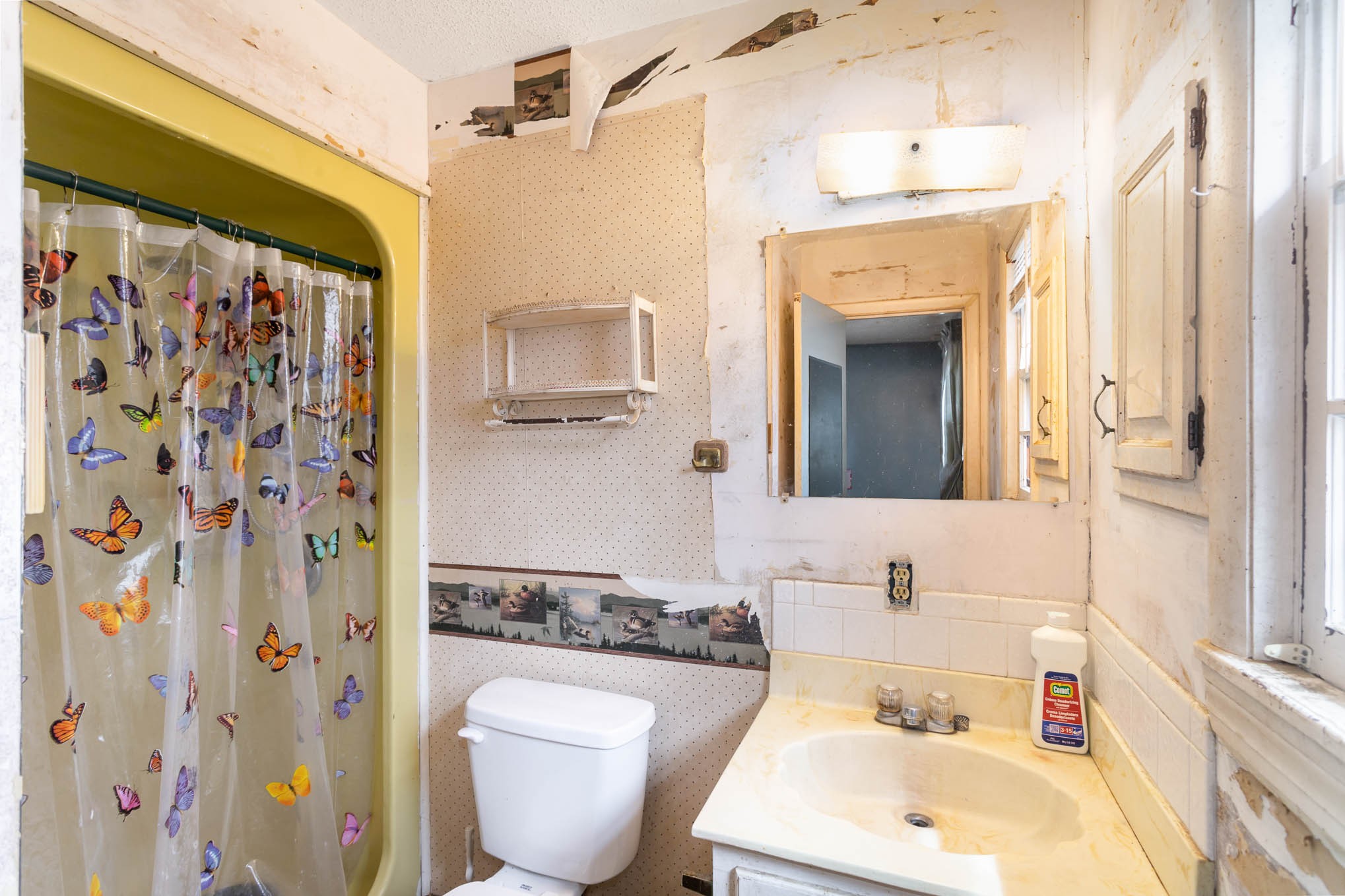 5631 Wesley Ridge Road Lyles, TN 37098 - Photo 14 of 19 a bathroom with a sink toilet and shower